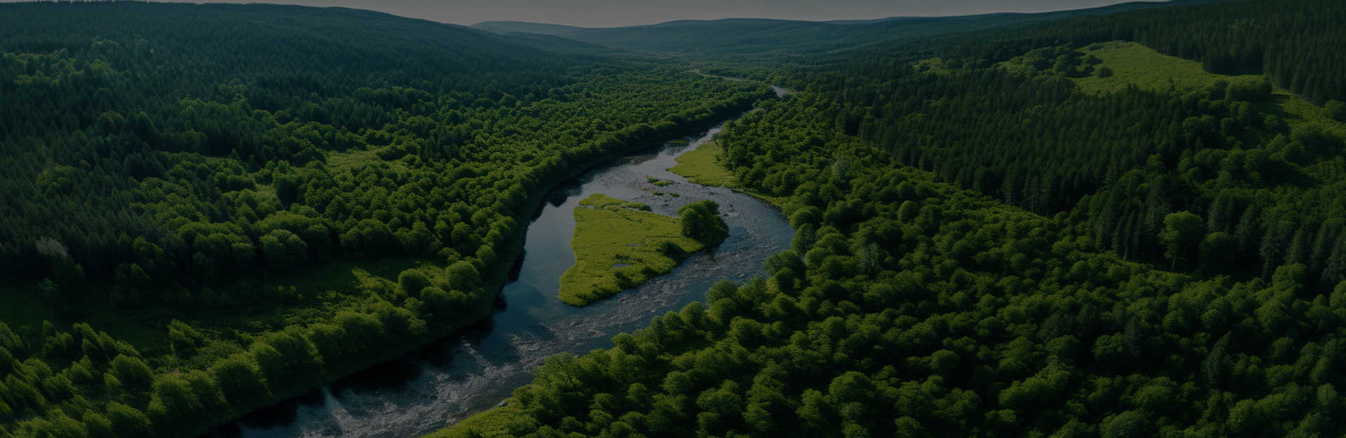 가흥 Dingshi 기계 제조 유한 회사