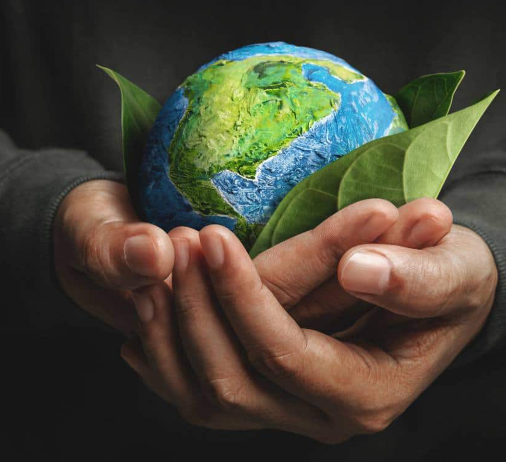 가흥 Dingshi 기계 제조 유한 회사